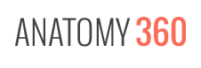 anatomy360